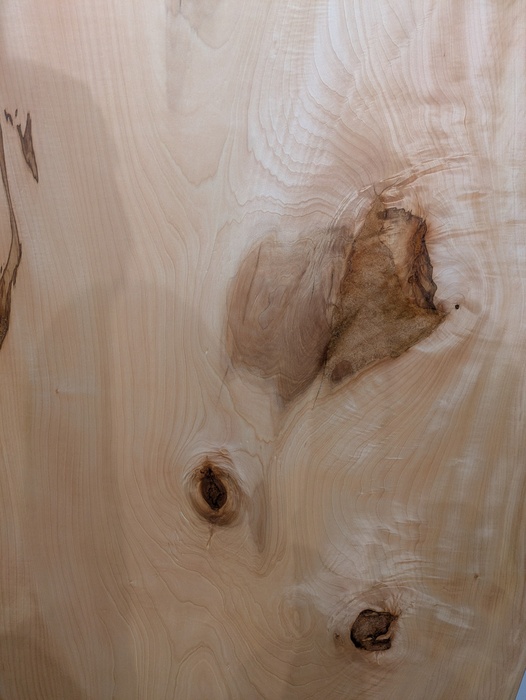 トチ一枚板[1900-800]