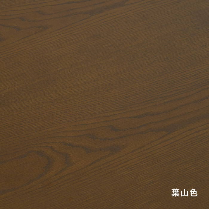 キュリオ800(COT-100)